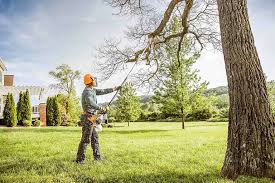  Cohoe, AK Tree Removal Services Pros